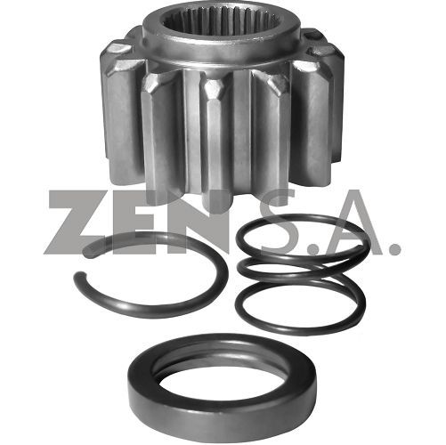 ZEN-13119 — ZEN 13119 — Piñones