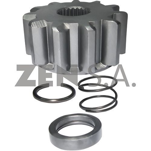 ZEN-13131 — ZEN 13131 — Piñones