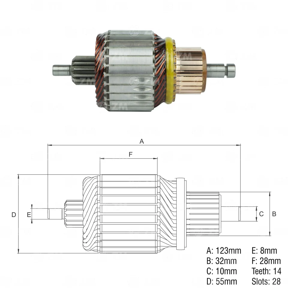 ZM-83.571.34 — Inducidos
