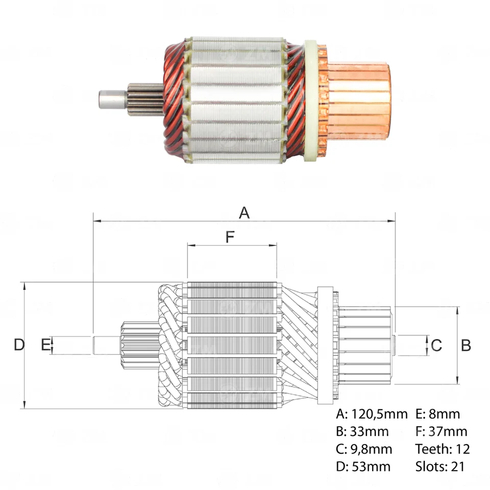 ZM-83.860.01 — Inducidos