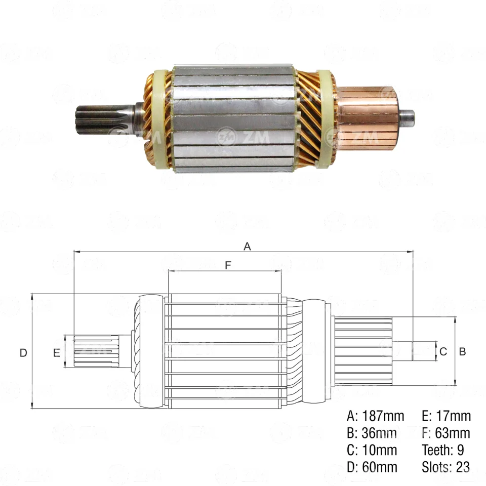ZM-8342102 — Inducidos