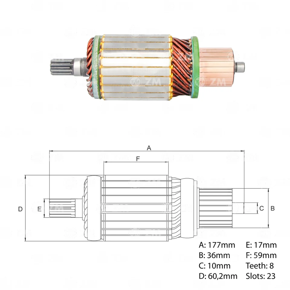 ZM-8380502 — Inducidos