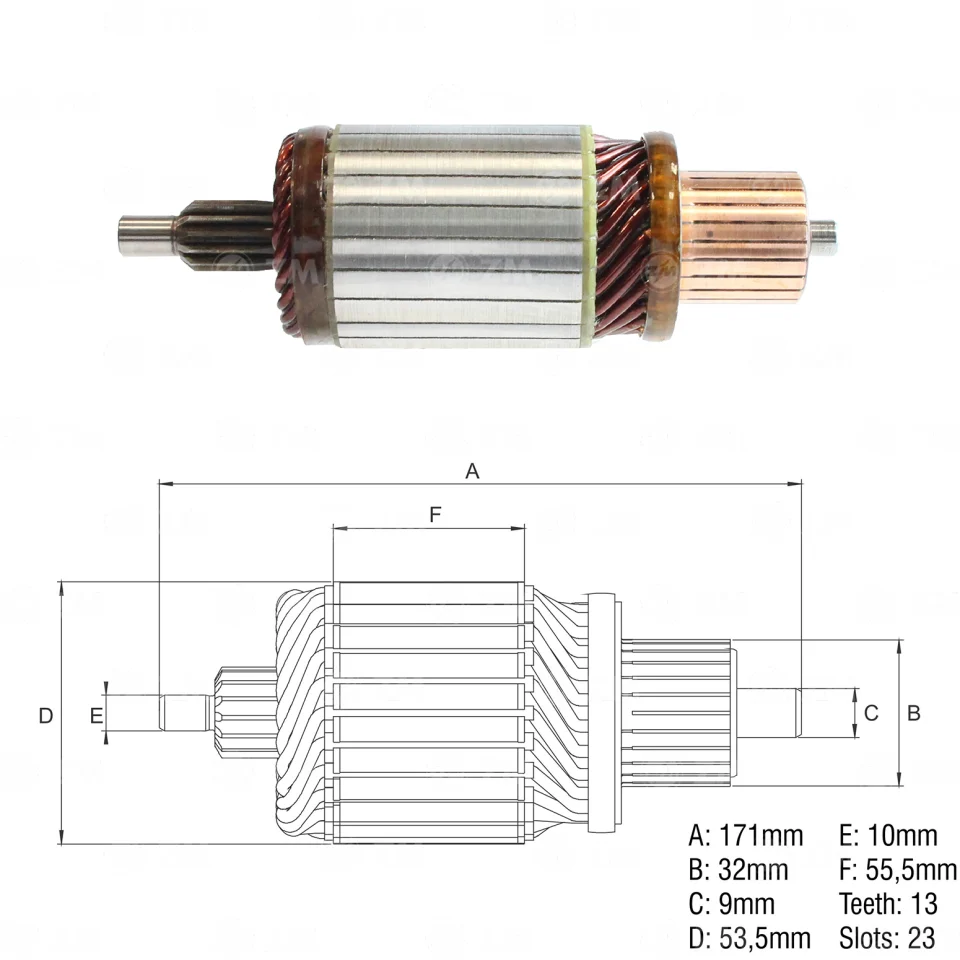 ZM-8389003 — Inducidos